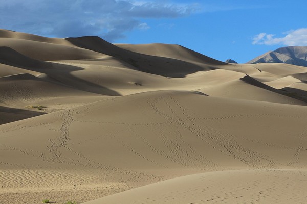 Great Sand Dunes NP Colorado