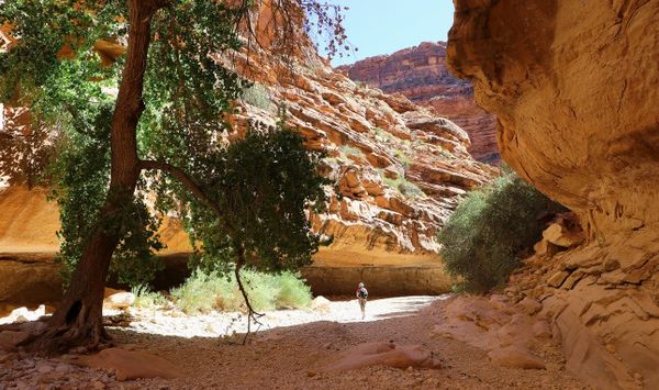 Randonnée Havasupai