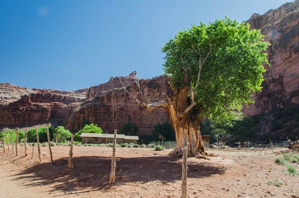 Village Supai