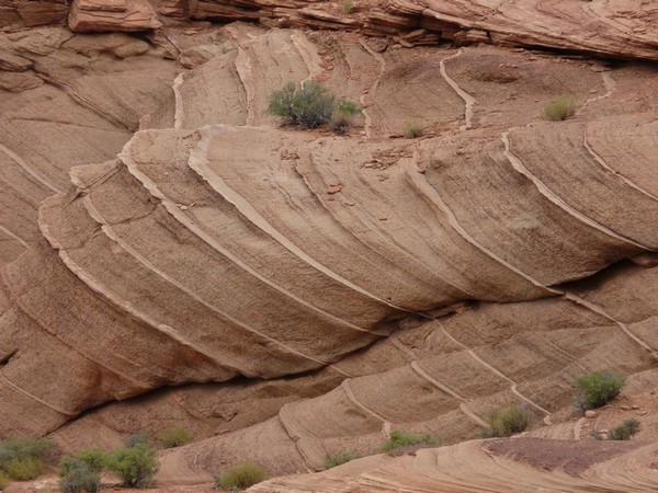 Géologie Horseshoe Bend