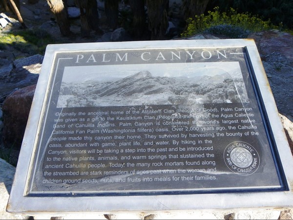 Palm Canyon Indian Canyons