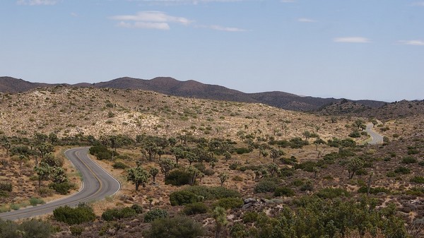 Scenic Drive
