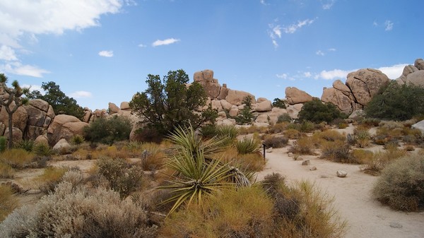 Hidden Valley