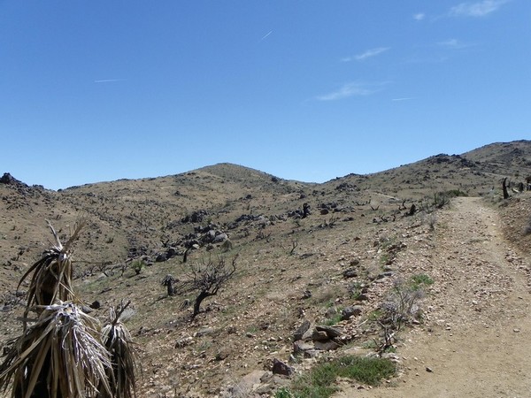 Ryan Mountain