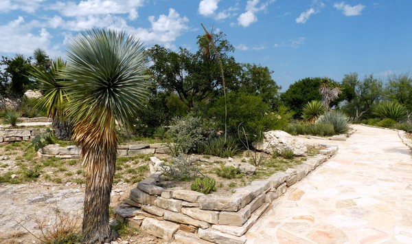 Cactus Garden Langtry Texas