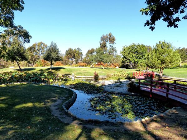 Jardin japonais