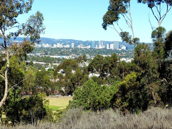 Vue sur Los Angeles