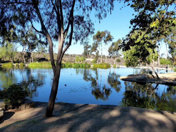Lac du parc Kenneth Hahn Los Angeles