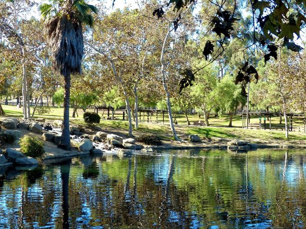 Lac du parc Kenneth Hahn Los Angeles