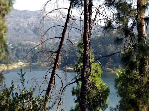 Lake Hollywood Trail