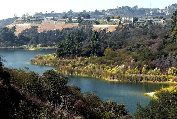 Lake Hollywood