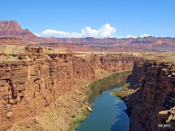 Vue sur le Colorado depuis le Navajo Bridge Lee's Ferry Arizona