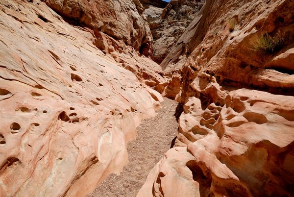 Little Wild Horse Canyon