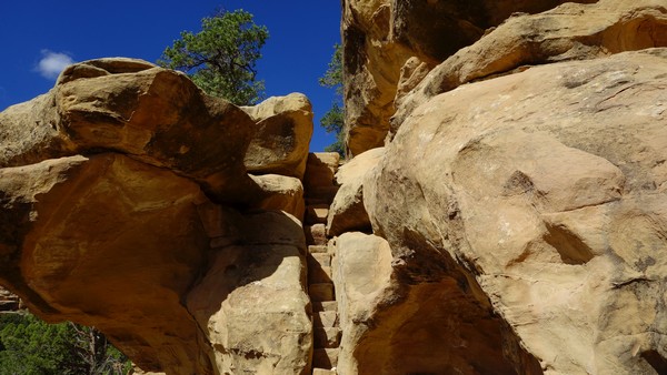 Petroglyph Point Loop Trail Mesa Verde