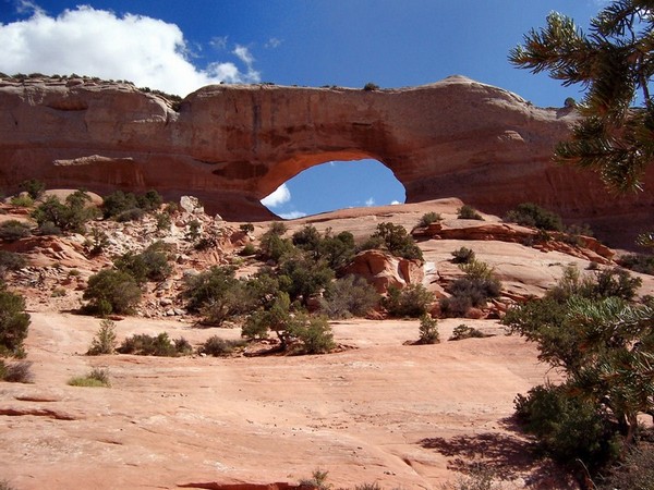 Wilson Arch Moab Utah