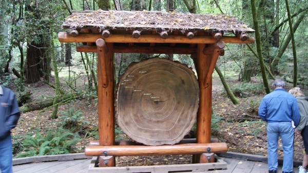 Muir Woods