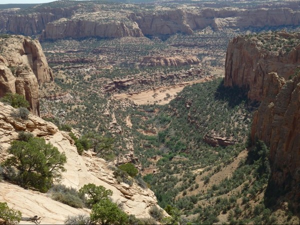 Betatakin Canyon depuis le Canyon View Trail
