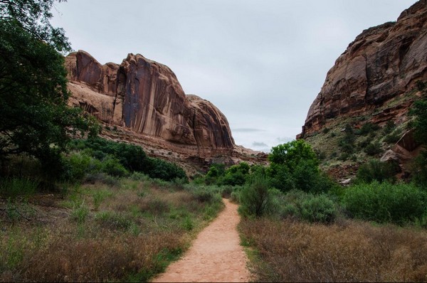 Vers Negro Bill Canyon Utah