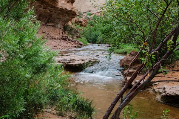 Negro Bill Canyon Trail