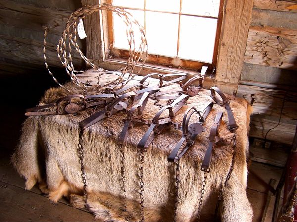 Buffalo Hunter's Cabin Old Trail Town Wyoming