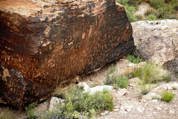 Newspaper Rock Petrified Forest National Park Arizona