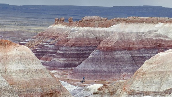 Blue Mesa Petrified Forest National Park Arizona
