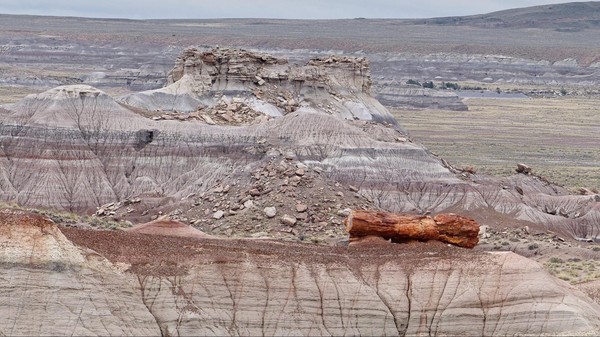Formations géologiques de Petrified Forest & Painted Desert National Park Arizona