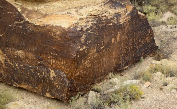 Pétroglyphes de Newspaper Rock Petrified Forest National Park Arizona