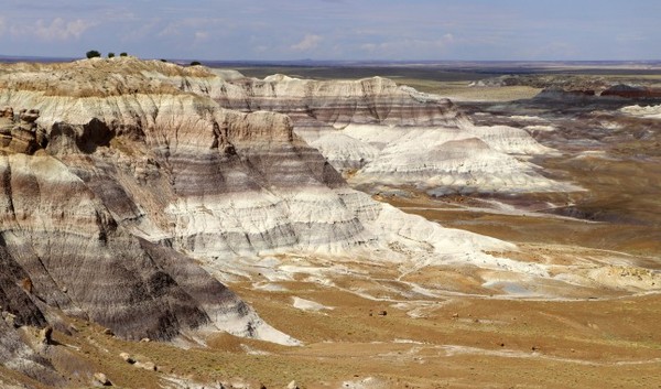 Blue Mesa Petrified Forest National Park Arizona