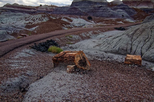Bois pétrifié Blue Mesa Trail Petrified Forest National Park Arizona
