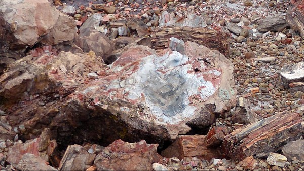 Bois pétrifié Blue Mesa Trail Petrified Forest National Park Arizona