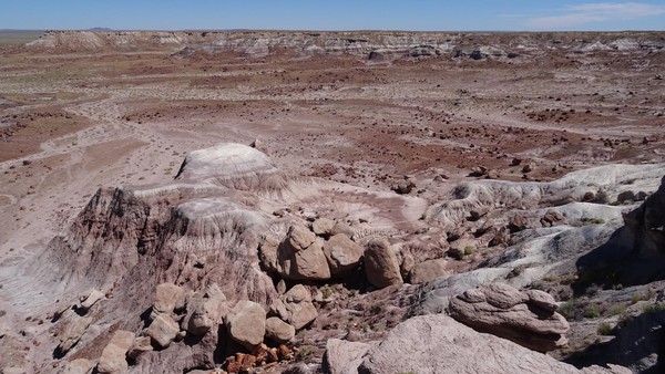 Jasper Forest Petrified Forest National Park Arizona
