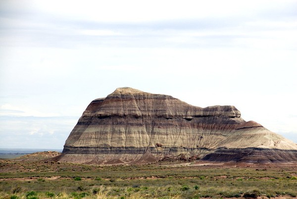 En direction de Crystal Forest Petrified Forest National Park Arizona