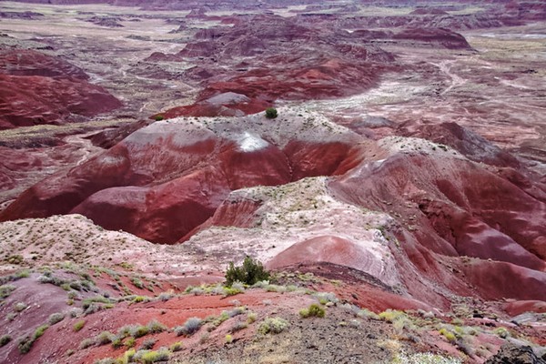 Tawa Point Painted Desert Arizona