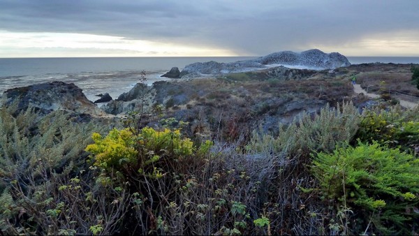 Bird Island Trail Point Lobos