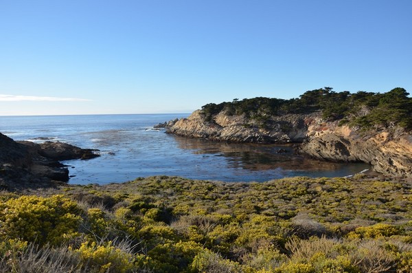 Sea Lion Point Trail Point Lobos