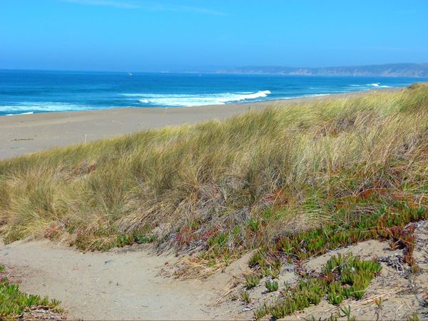 Point Reyes Beach
