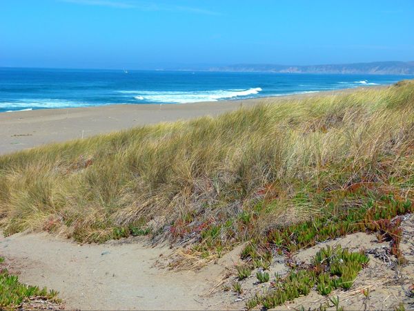 Point Reyes Beach