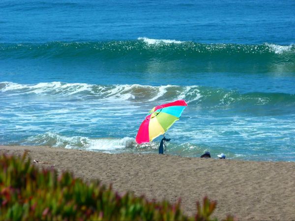 Plage Point Reyes