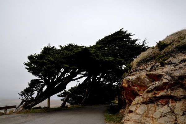 Vers Point Reyes Lighthouse