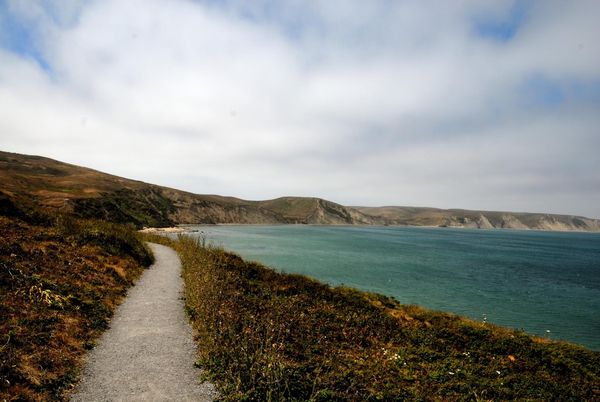 Vers Elephant Seal Overlook Point Reyes