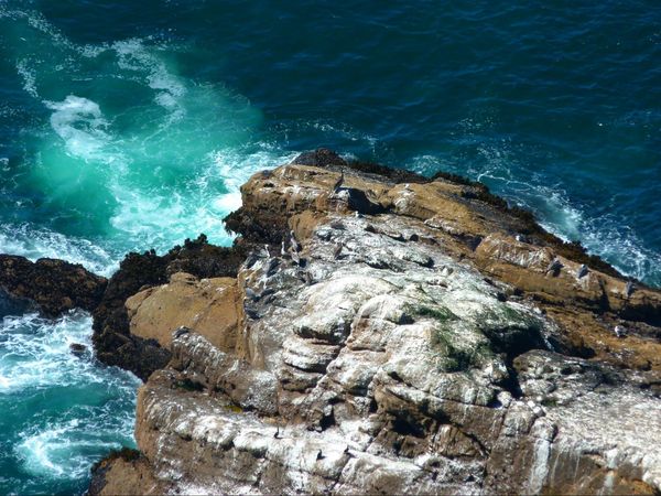 Point Reyes National Seashore