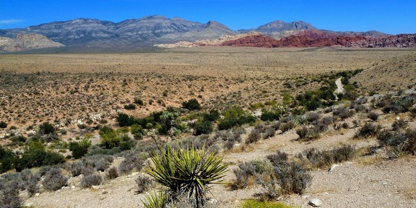 Sur la Scenic Drive Red Rock Canyon