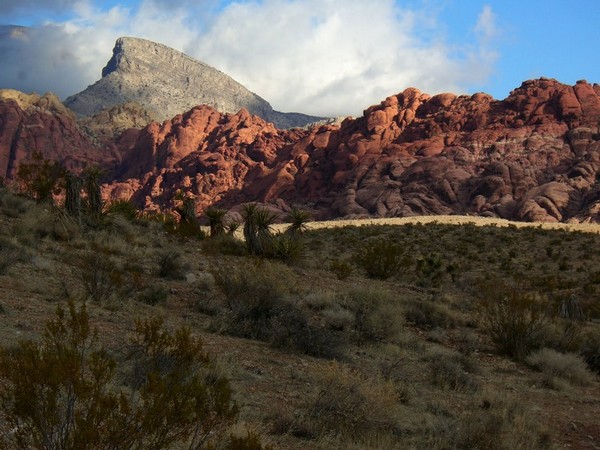 Turtlehead Peak