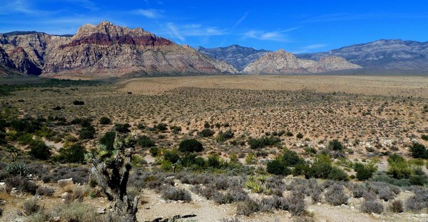 Red Rock Overlook