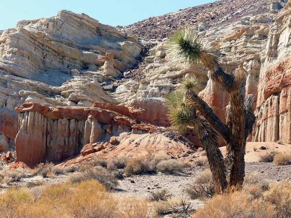 Hagen Trail Red Rock Canyon State Park