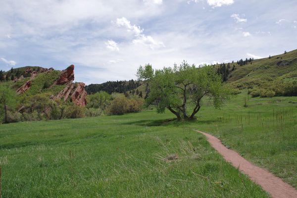 Peuplier Roxborough State Park