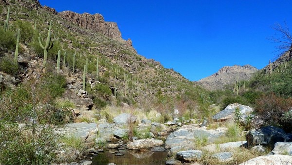 Seven Falls Sabino Canyon Arizona