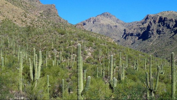 Sabino Canyon Recreation Area