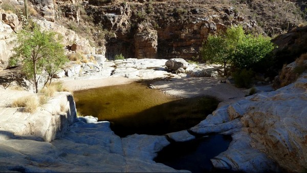 Sabino Canyon Arizona